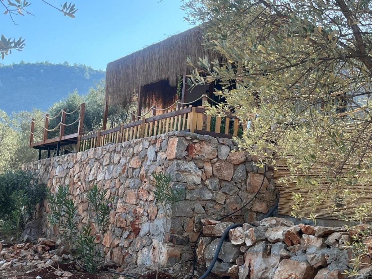 הוילה Gokceovacik Lovin Goecek Tiny House Butterfly מראה חיצוני תמונה