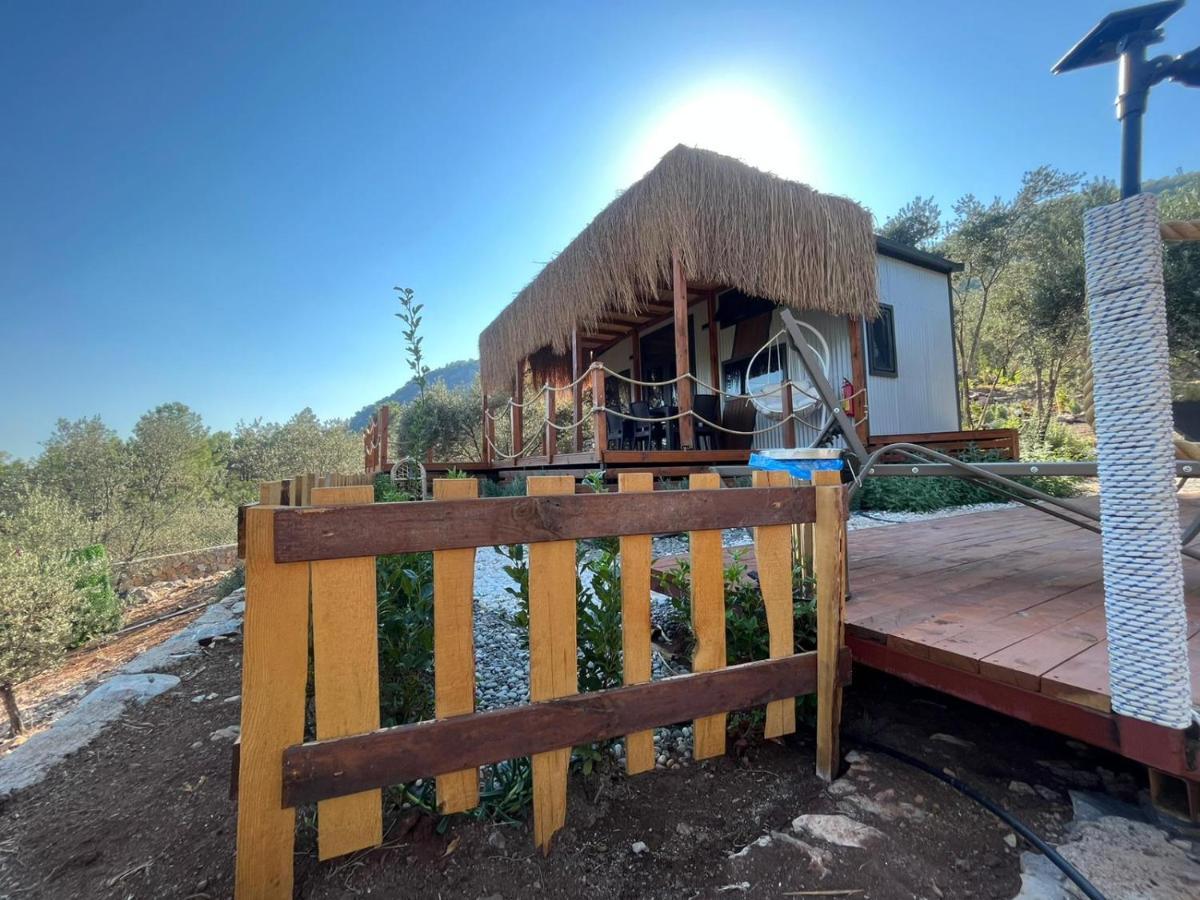הוילה Gokceovacik Lovin Goecek Tiny House Butterfly מראה חיצוני תמונה