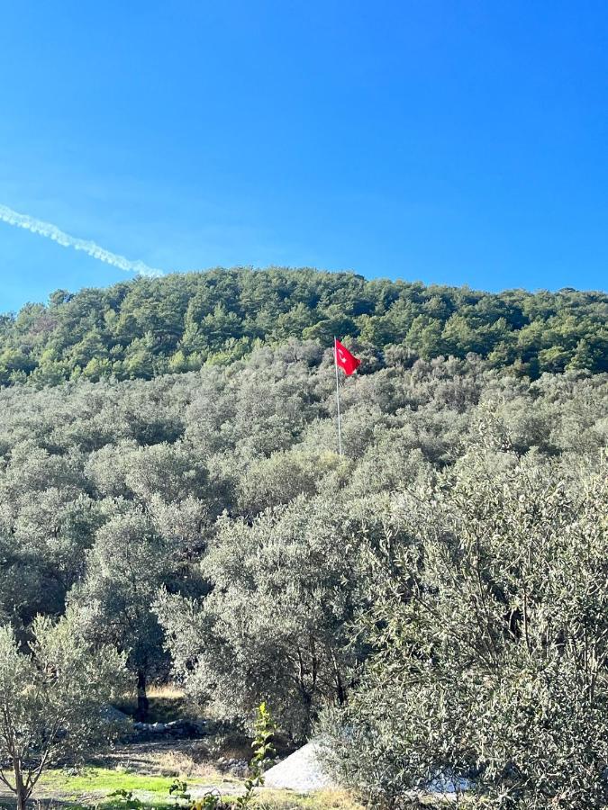 הוילה Gokceovacik Lovin Goecek Tiny House Butterfly מראה חיצוני תמונה