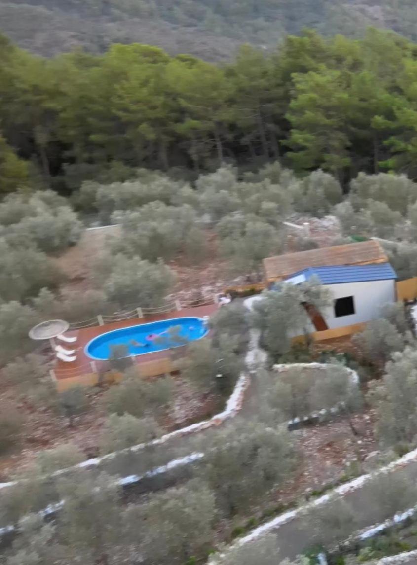 הוילה Gokceovacik Lovin Goecek Tiny House Butterfly מראה חיצוני תמונה